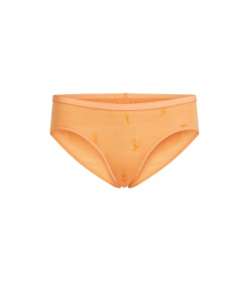 Бикини Icebreaker W's Merino 150 Siren Hipkini Snow Day Winter 2025