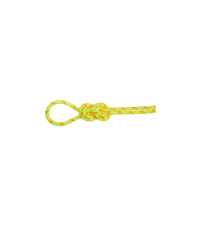 Mammut 9.5 Alpine Core Protect Dry Rope 60m