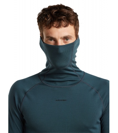 Мерино Блуза Icebreaker 300 MerinoFine Polar Long Sleeve Roll Neck M's