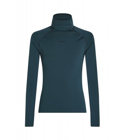 Мерино Блуза Icebreaker 300 MerinoFine Polar Long Sleeve Roll Neck M's