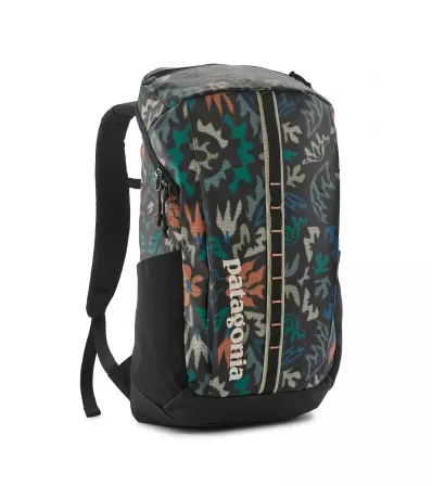 Раница Patagonia Black Hole Pack 25L