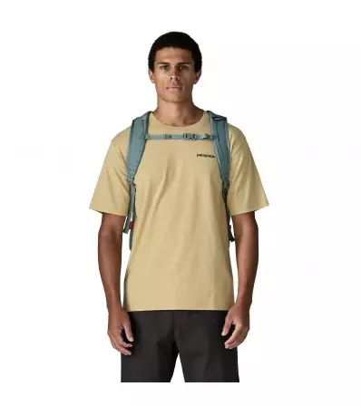 Раница Patagonia Refugio Daypack 30L