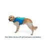 Ruffwear Float Coat Life Jacket