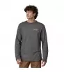 Блуза Patagonia Lightweight Unity Fitz Wildrise Crew M's