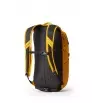 Раница Gregory Nano 20L Summer 2025
