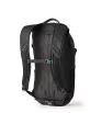 Раница Gregory Nano 20L Summer 2025