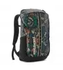 Раница Patagonia Black Hole Pack 25L