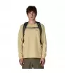 Раница Patagonia Refugio Daypack 30L
