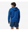 Patagonia '73 Skyline Uprisal Hoody